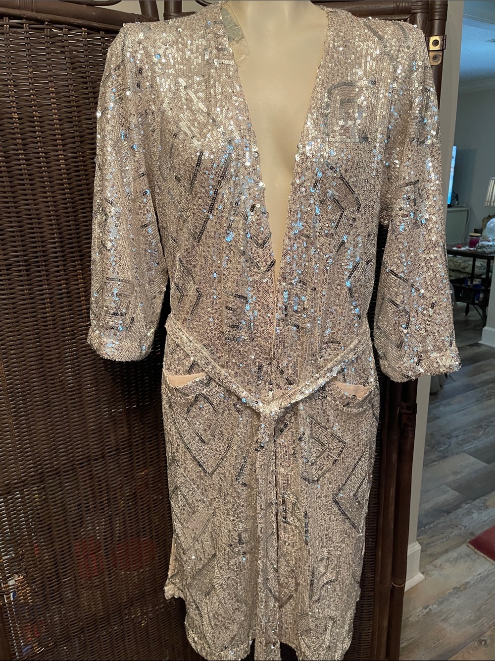 Skies over Are Blue Silver Sequin V-Neck Robe/Party Jacket